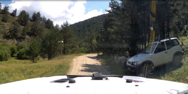 Capture12.JPG