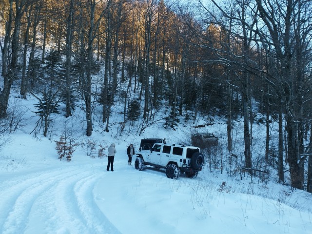 IMG_20240113_165244.jpg