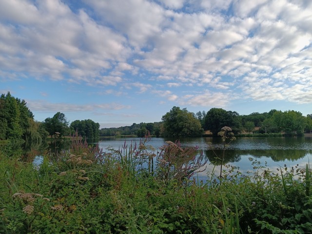 IMG_20220730_082459.JPG
