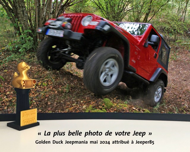 Jeeper85.JPG