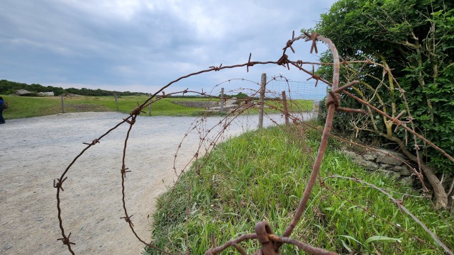 20240606_151649.jpg