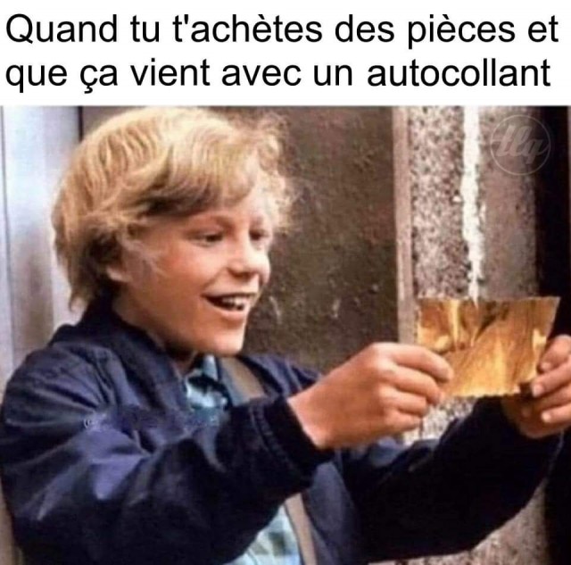 FB_IMG_1732558871400.jpg