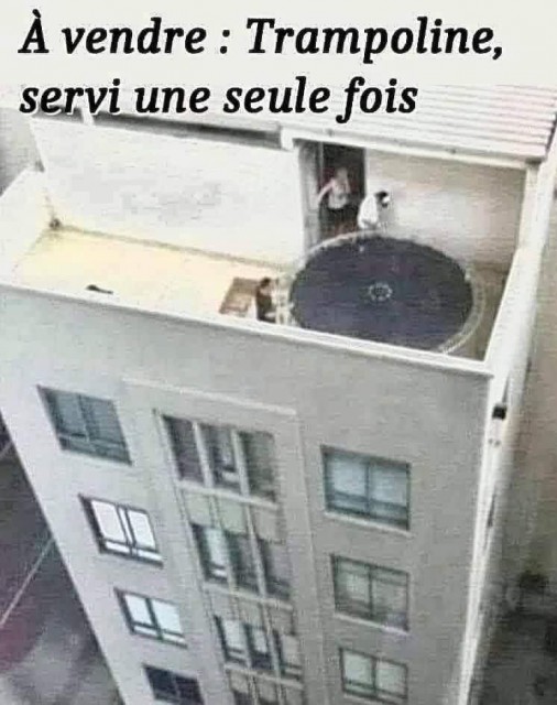 FB_IMG_1733089153785.jpg
