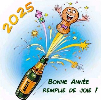 newYear2025.jpg