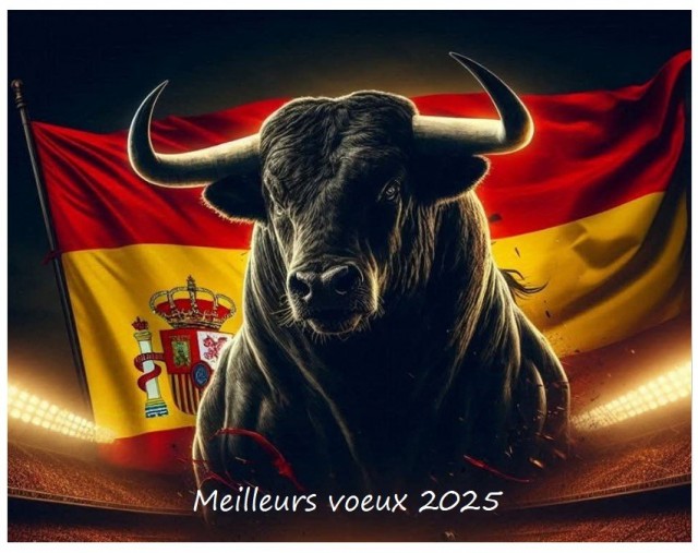 voeux 2025.jpg
