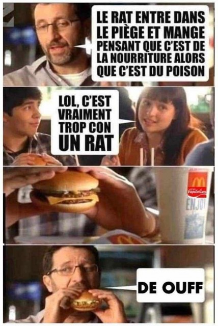 4e61fb9fd1935488965190f9630daccd.jpeg