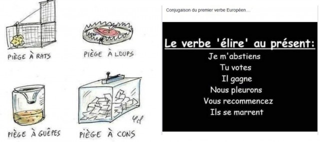 élections.jpg
