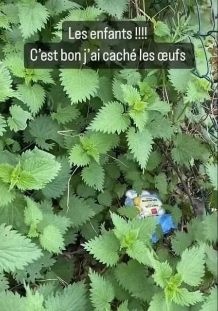 FB_IMG_1745083878373.jpg