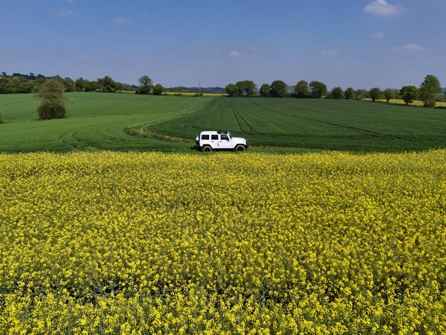 DJI_20250427165751_0092_1.jpg