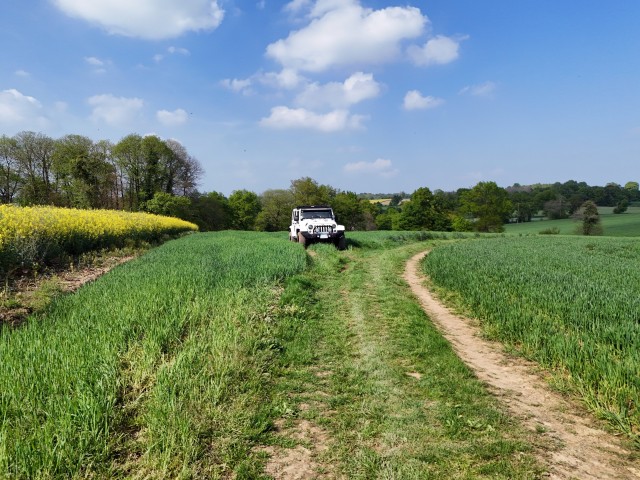 DJI_20250427170202_00951_D.jpg
