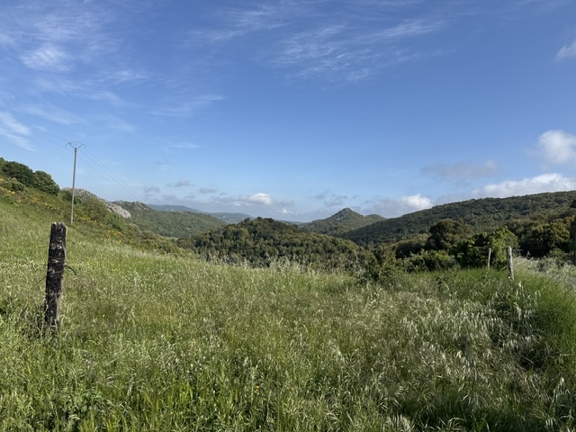 IMG_9791.jpeg
