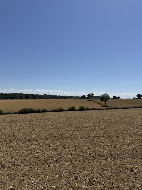 IMG_9852.jpeg